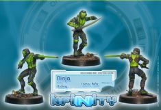 infinity/Yu_Jing/ninja_ccw_shock.jpg